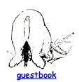 guestbook